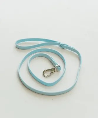 DEXYPAWS - Sky Blue Waterproof Dog Leash