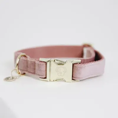 KENTUCKY DOGWEAR - Dog Old Rose Collar Velvet