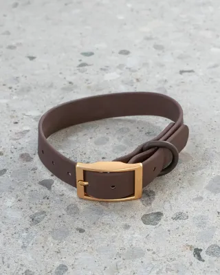 DEXYPAWS - Espresso Waterproof Dog Collar