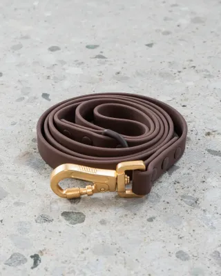 DEXYPAWS - Espresso Waterproof Dog Leash