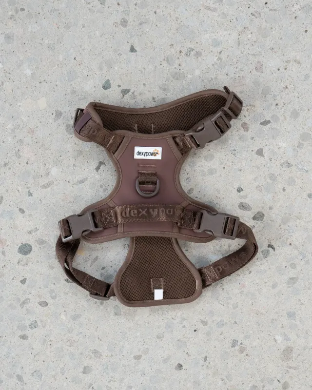 DEXYPAWS - Espresso No-Pull Dog Harness