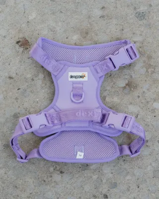 DEXYPAWS - Lilac No-Pull Dog Harness