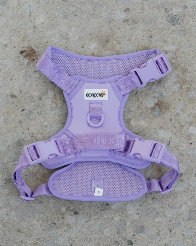 DEXYPAWS - Lilac No-Pull Dog Harness