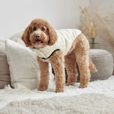 GF PET - Cloud Dog Sand Parka