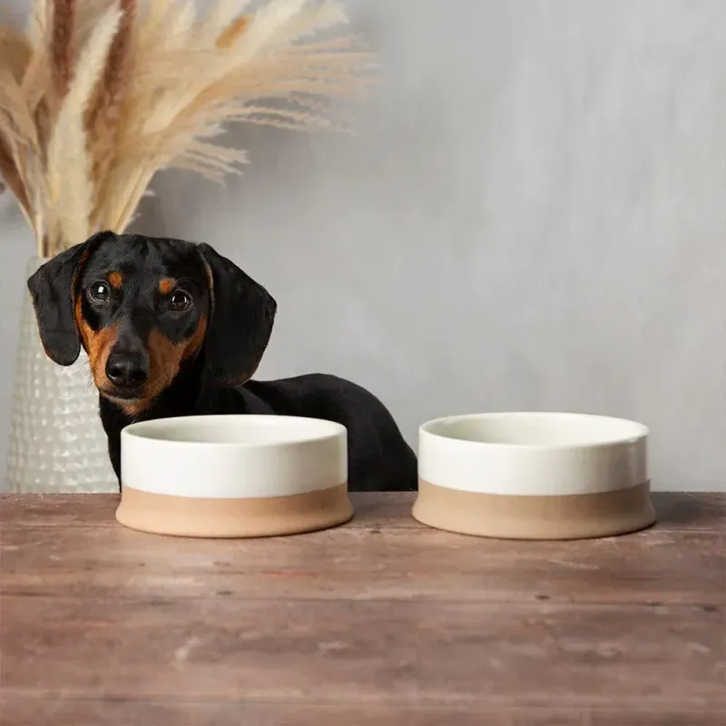 SCRUFFS - Scandi Non Tip Pet Food &amp; Water Cream Bowl