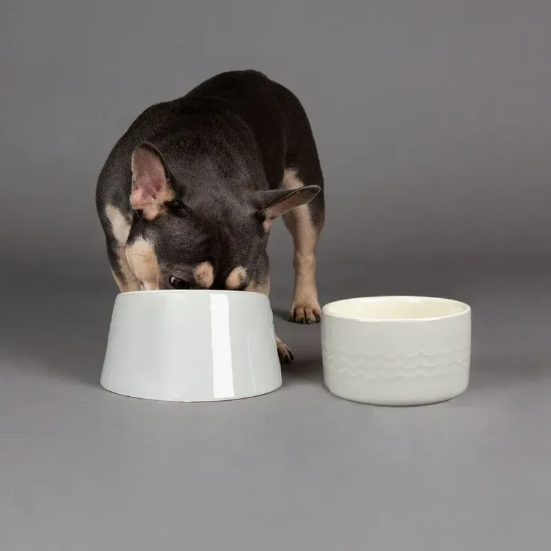 SCRUFFS - Icon Flat Faced Dog Bowl