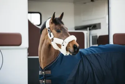 KENTUCKY HORSEWEAR - Sheepskin Shipping Natural Halter