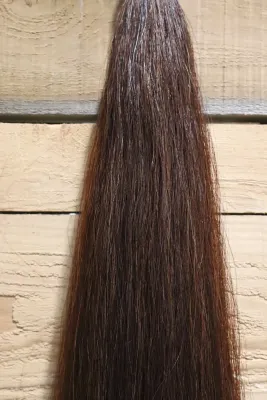 CHAMPION TAILS - Double Horse Tail Extension 32 in Dark Red Chestnut