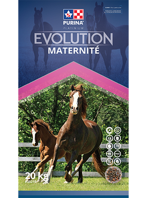 PURINA CARGILL - Evolution Maternity