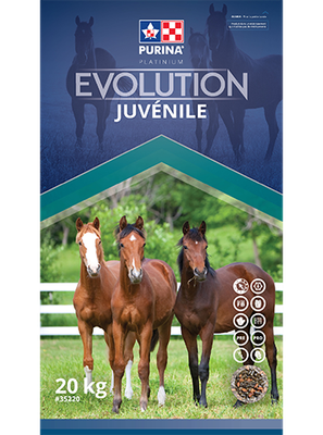 PURINA CARGILL - Evolution Juvenile