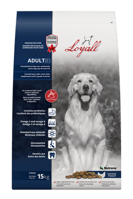 LOYALL - Adult dog