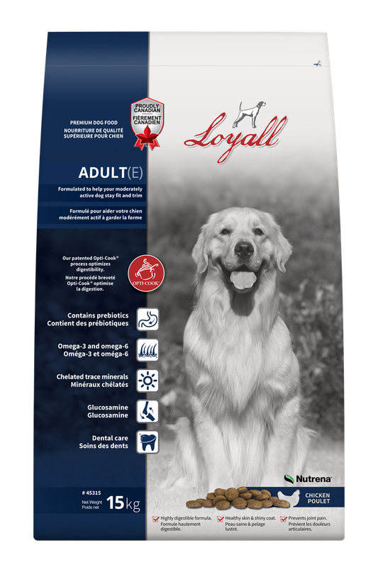 LOYALL - Adult dog