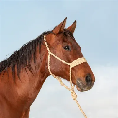 CLASSIC EQUINE - Wide Nose Flat Braid Halter &amp; Leadrope