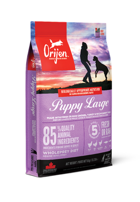 ORIJEN - Puppy Large Breed Recipe