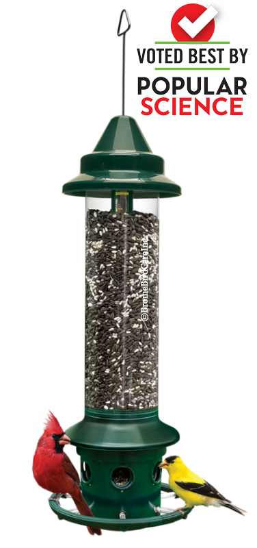 BROME BIRD CARE - Squirrel Buster Plus, Capacity: 3L