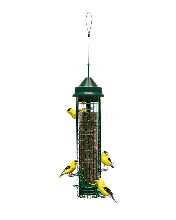 BROME BIRD CARE - Squirrel Buster Finch feeder