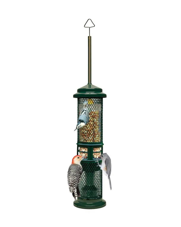 BROME BIRD CARE - Squirrel Buster Nut Feeder, Capacity: 1.3lbs