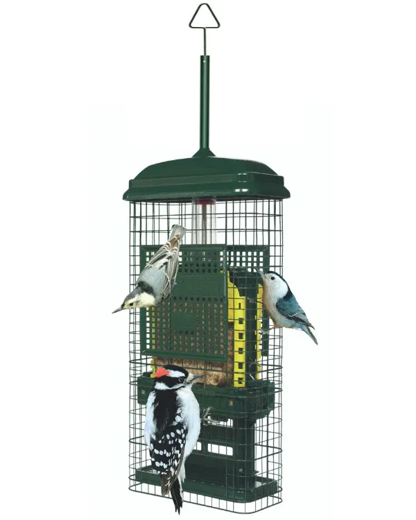 BROME BIRD CARE - Suet Feeder