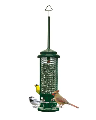 BROME BIRD CARE - Squirrel Buster Legacy