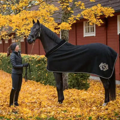 BACK ON TRACK - Wool Blanket Edward Black