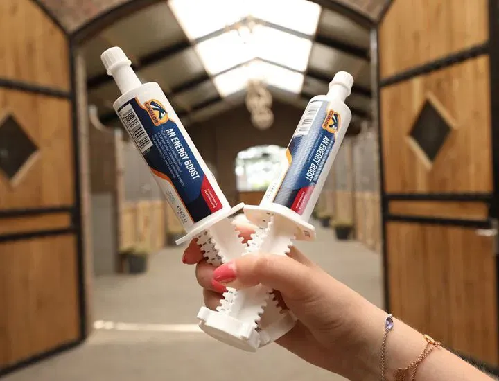 CAVALOR - An Energy Boost