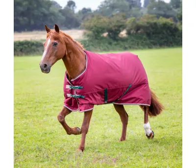 SHIRES - Tempest 200g pony blanket