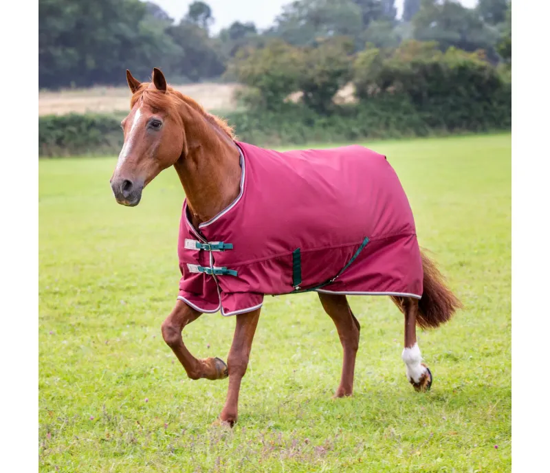 SHIRES - Tempest 200g pony blanket