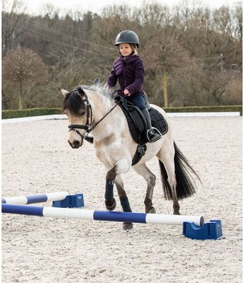 CENTURION - 4 Way Pole Riser (pair)