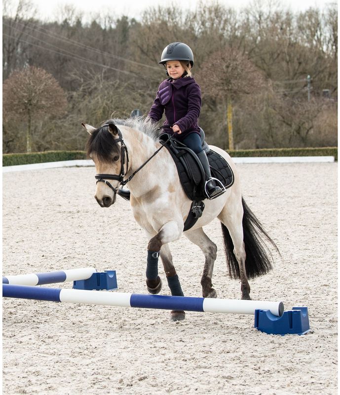 CENTURION - 4 Way Pole Riser (pair)