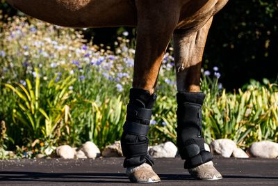 BACK ON TRACK - Airflow Raven Black Quick Wraps