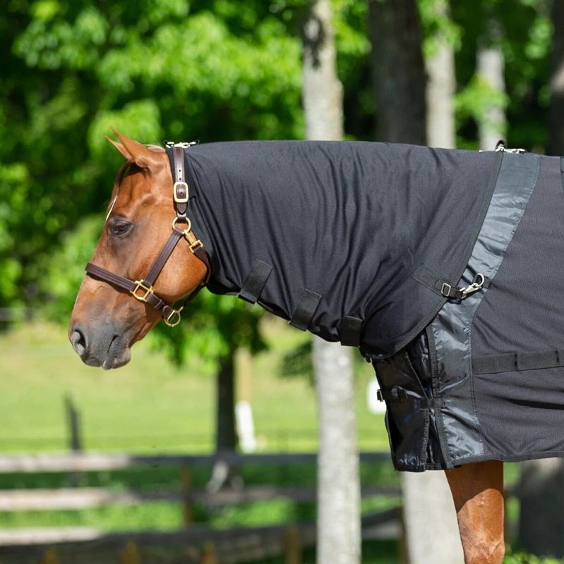 BACK ON TRACK - Mesh neck for blanket