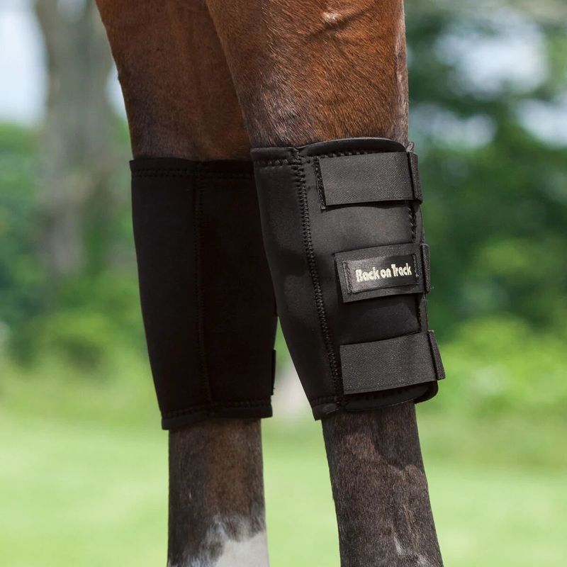 BACK ON TRACK - Equine knee boots