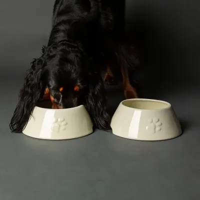 SCRUFFS - Icon Bowl for Long-Eared Dogs