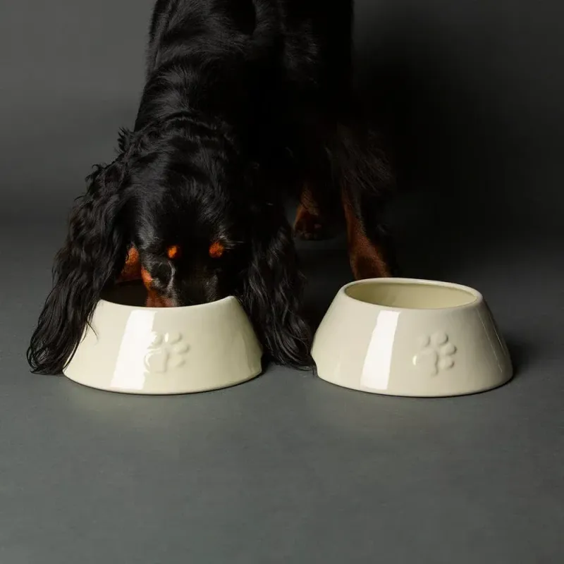 SCRUFFS - Icon Bowl for Long-Eared Dogs