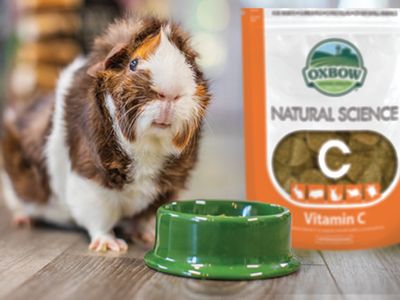 Care &amp; Supplements