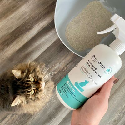 Litter box cleaners/odor neutralizers