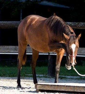 Croissance &amp; Développement
