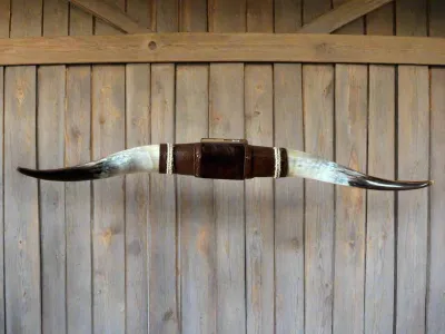 Mounted Horns