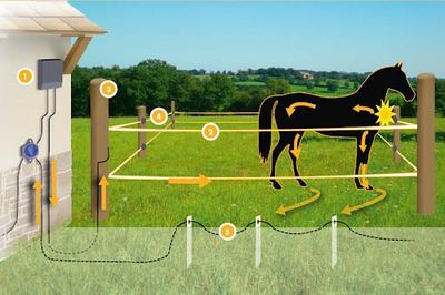 Insulators &amp; Parts