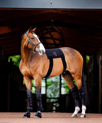 Équipements Thérapeutiques