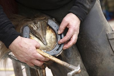 Farrier