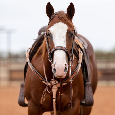 Western kit (Sold separately)