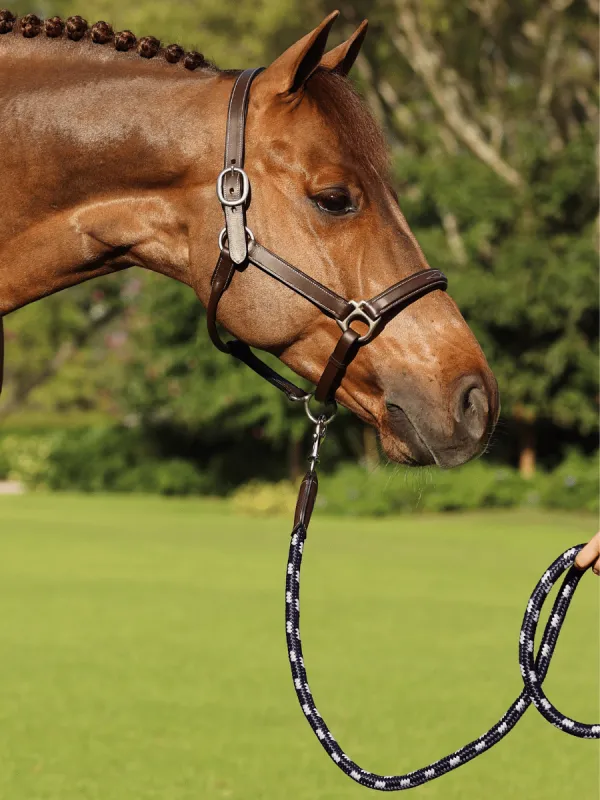 Corde en Nylon pour licou de cheval, bande de nez tressée par