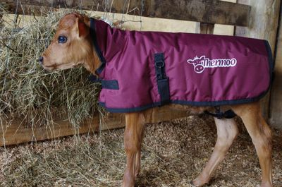 Care &amp; General health