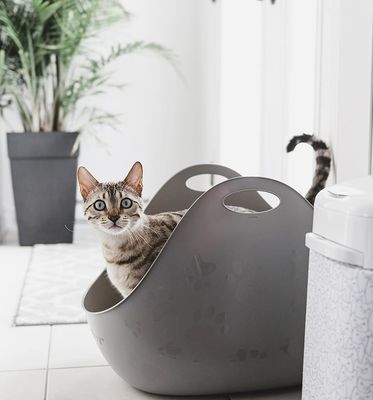Litter box