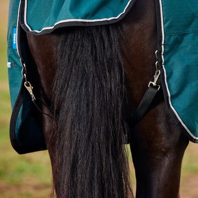 Accessories &amp; Parts