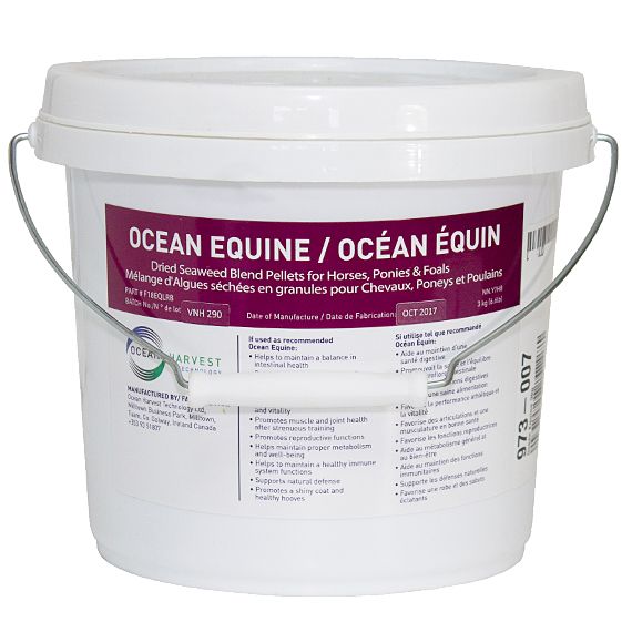 LOZANA - Ocean equin, Format: 3kg
