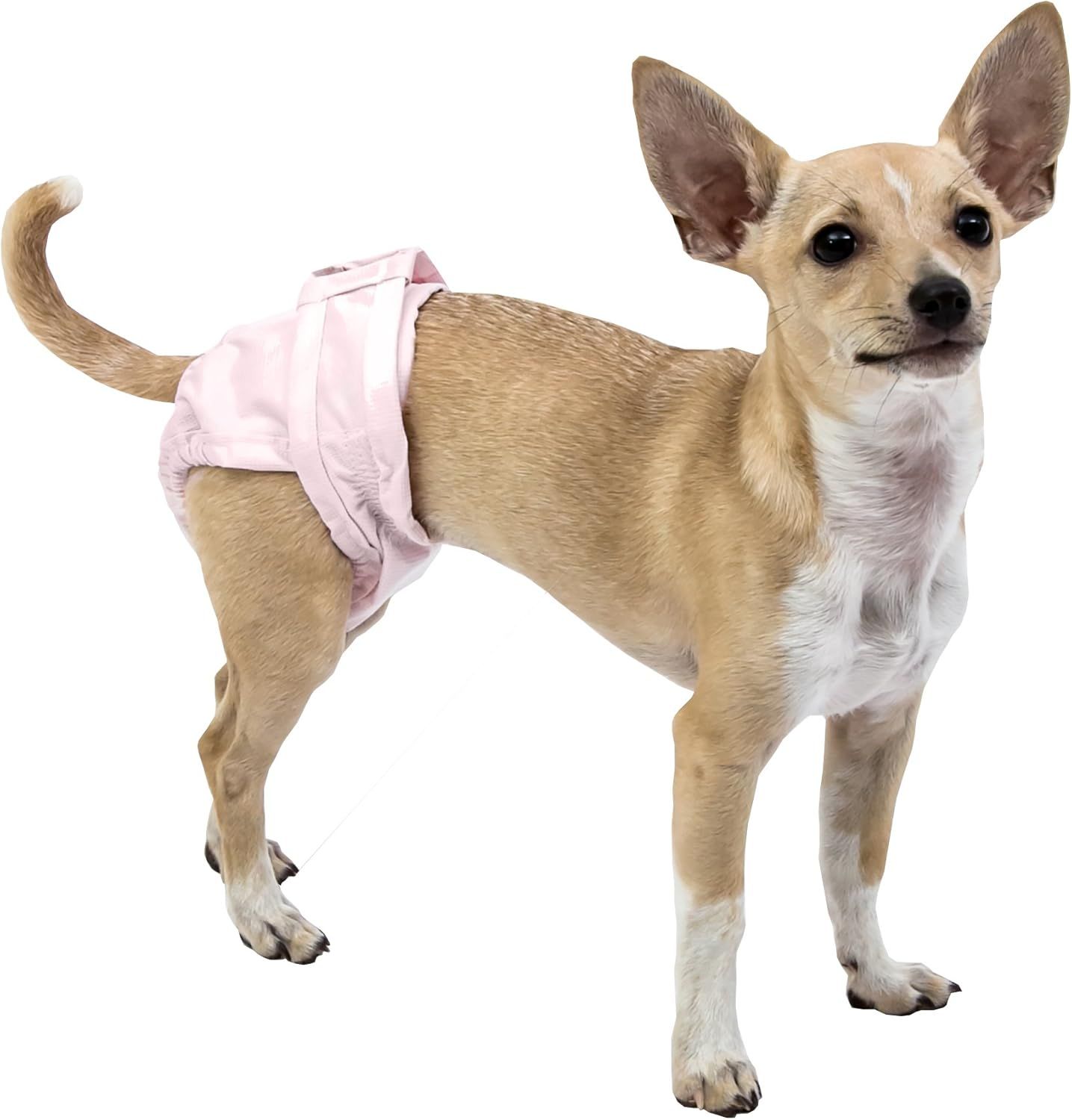 POOCH PAD - Female Pooch Pants Reusable Diaper, Size: XSmall