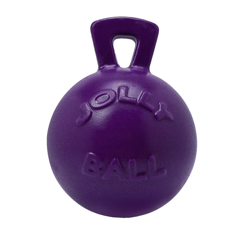 JOLLY PETS - Tug-N-Toss