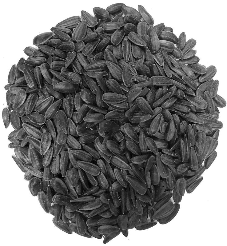LES GRAINS DOUGLASS - Black Sunflower